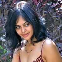Bindu Madhavi Hot in Pink Gown Dress - Pictures | Picture 120957
